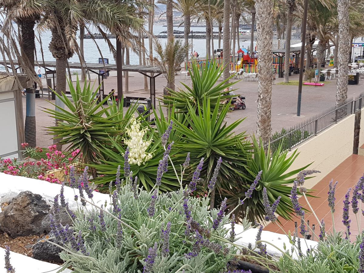 بلايا ذي لاس أميريكاس Vila Lavanda المظهر الخارجي الصورة