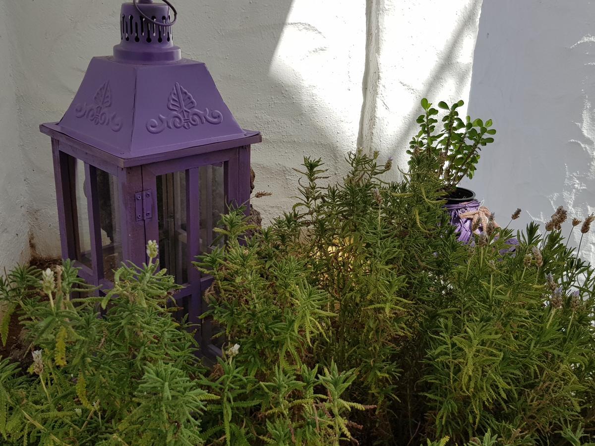 بلايا ذي لاس أميريكاس Vila Lavanda المظهر الخارجي الصورة
